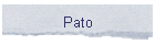 Pato