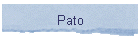 Pato